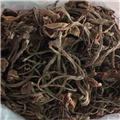 茶树菇 特级 产地福建 增强免疫力