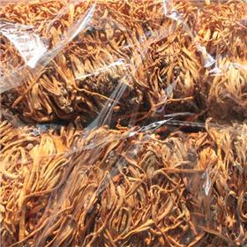 虫草花 整装  东北 平喘止咳