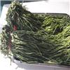 苔干 出口特级精品 亳州 质优 口感清脆