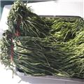 苔干 出口特级精品 亳州 质优 口感清脆
