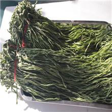 苔干 出口特级精品 ..