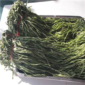 苔干 出口特级精品 亳州 质优 口感清脆