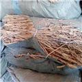批发供应中药材 防风 内蒙古产地直销 去湿止痛