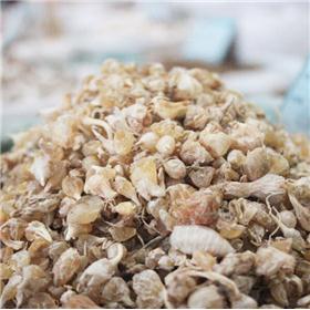 薤白 山东薤白 无硫薤白