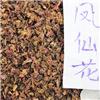 凤仙花 安徽 优质 祛风除湿 活血止痛 解毒杀虫