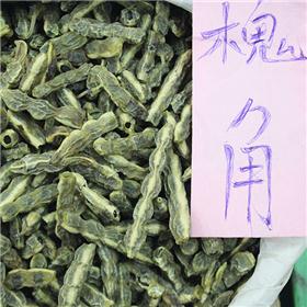 槐角 山西 大货供应 清热泻火 凉血止血