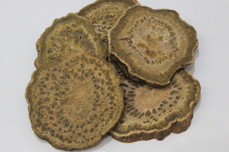 大黄 片子  甘肃 质优 泻热通肠 凉血解毒 逐瘀通经 药博商城