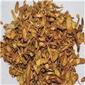 黄芩 优质价廉