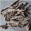 白芷 个子 统 亳州 大货 散风除湿 通窍止痛