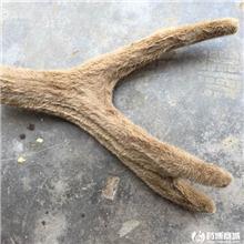 鹿角 精选 质优 行..