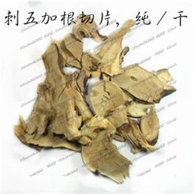 刺五加根
