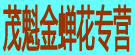 茂魁金蝉花专营