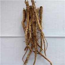 铁芪 质优  大货供..