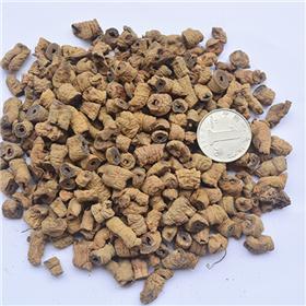 巴戟肉 手捡段 0.5-1.0cm 横纹  广东原产地大货