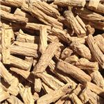 党参节子  甘肃原产..