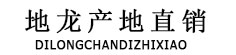地龙产地直销