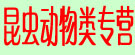 昆虫动物类专营
