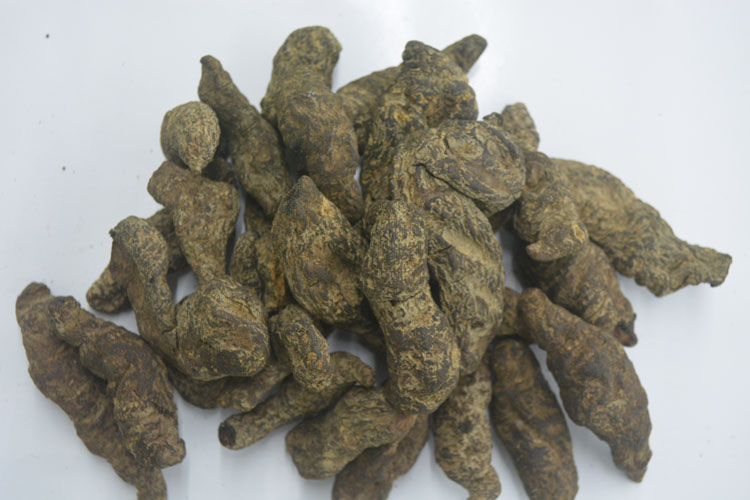 生地,别名生地黄,野地黄,山烟根等,为玄参科植物地黄的块根.