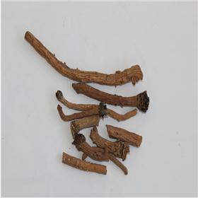 板蓝根  个子  内蒙  统  大货供应  质优价廉