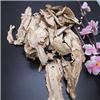 当归头片0.8以上