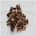 苍术 个子 内蒙 统 大货供应 质优价廉