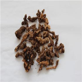 苍术 个子 内蒙 统 大货供应 质优价廉