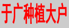 于广种植大户