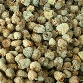 覆盆子 质优价廉 益肾 固精 缩尿