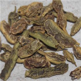 槐豆子 各种规格 山东 凉血止血 清肝明目