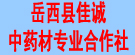 岳西县佳诚中药材专业合作社