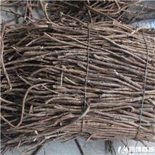 甘草 统货 个子