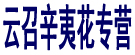 云召辛夷花专营