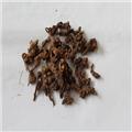 苍术 个子 内蒙 统 大货供应 质优价廉