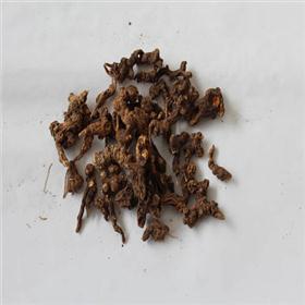 苍术 个子 内蒙 统 大货供应 质优价廉