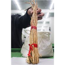 防风 防风个子 内蒙..