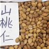 山桃仁 统货 河北 质优价廉 活血祛瘀 润肠通便