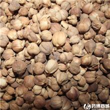 白寇 优质大货 行气..