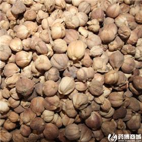 白寇 优质大货 行气开胃
