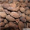 草果 质优价廉 温中燥湿 除痰截疟