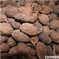 草果 质优价廉 温中燥湿 除痰截疟