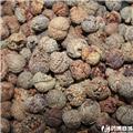 草寇 进口 优质 温中散寒 行气止痛