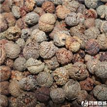 草寇 进口 优质 温..