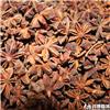 大茴 优质大货 温阳散寒 理气止痛