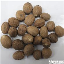 肉蔻 优质大货 温中..