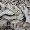 生姜片 云南 大货 解表散寒 温中止呕