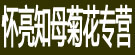 怀亮知母菊花专营