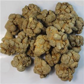 三七 16头 云南 质优 散瘀止血 消肿定痛 