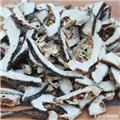 枳壳 片子 陕西枳壳 胸隔痞满 胁肋胀痛