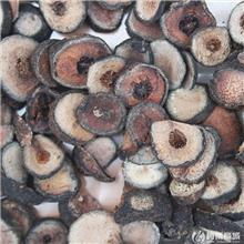 枳实 片子 浙江 大..