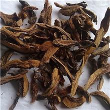 骨碎补